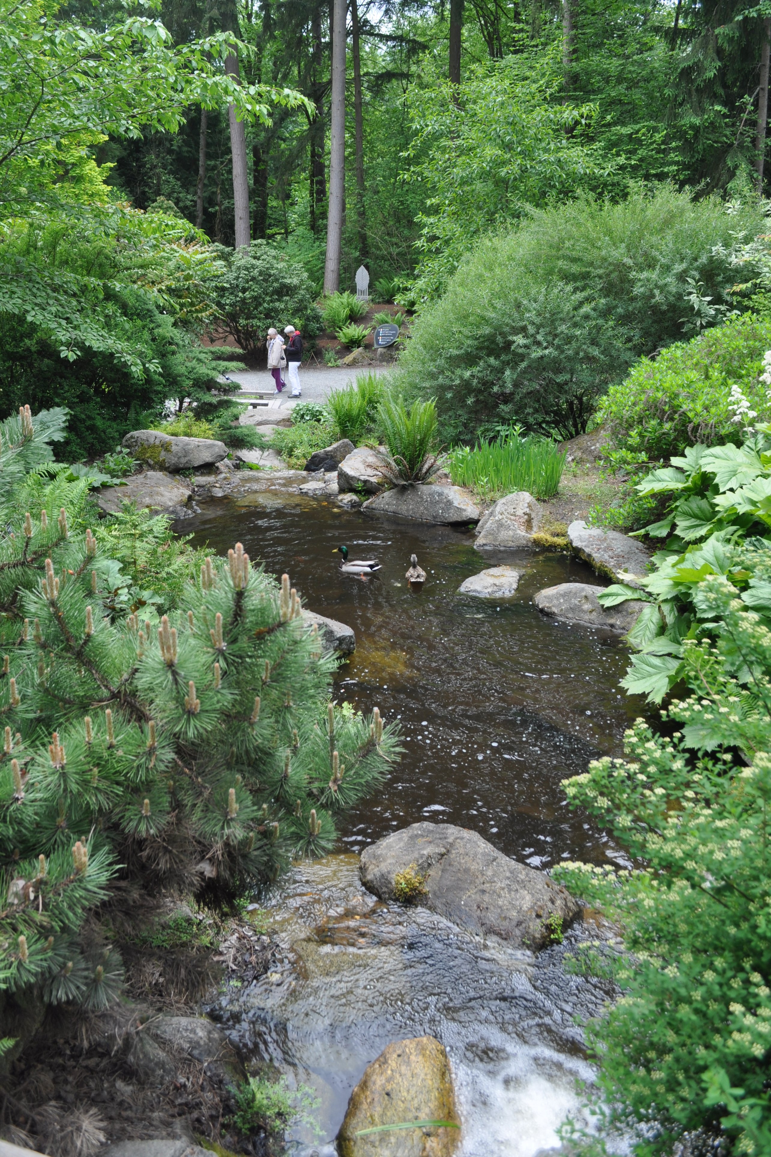 Bellevue Botanical Gardens | Year of Seattle Parks