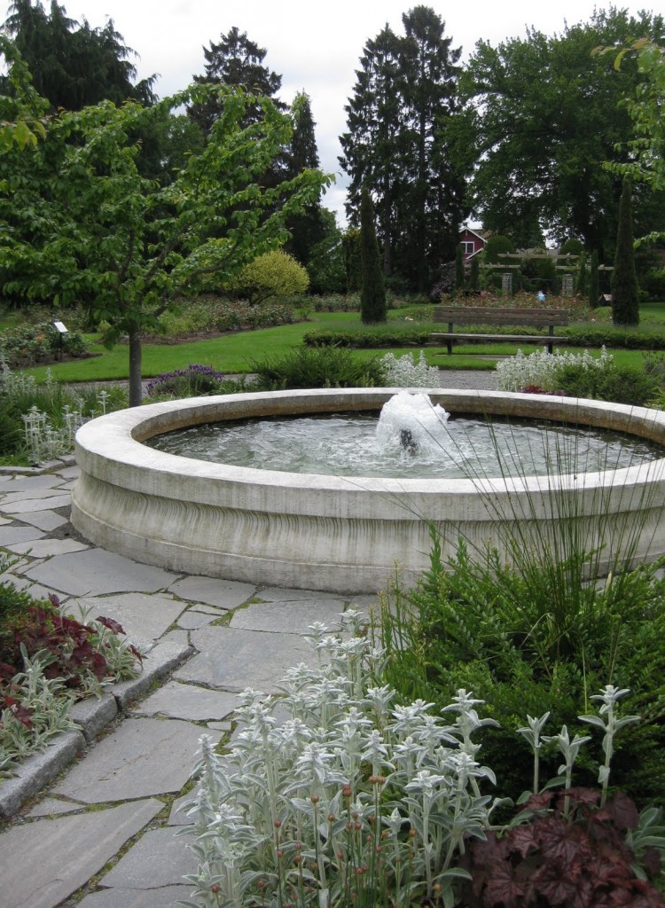 Woodland Park Rose Garden Year Of Seattle Parks