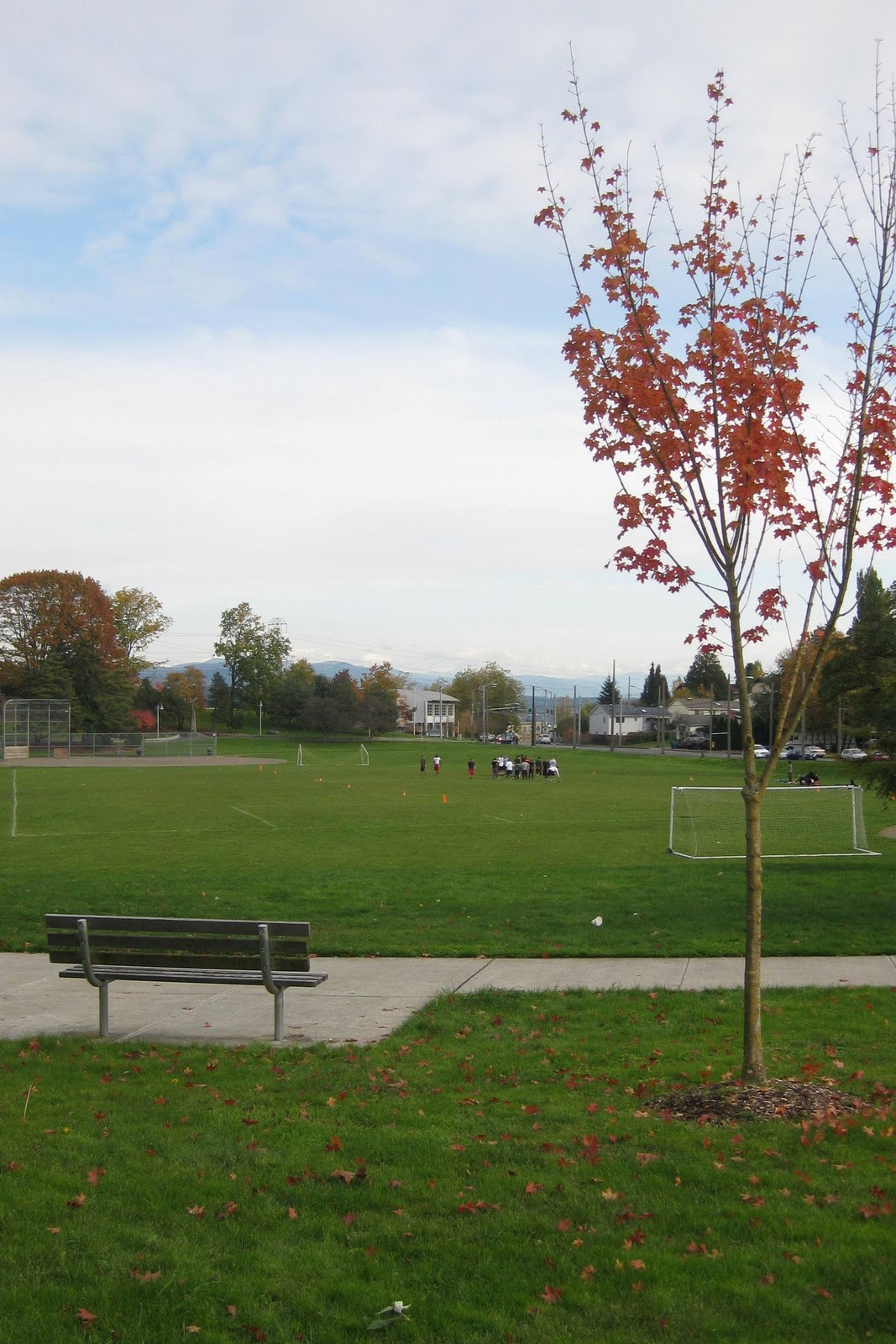 Van Asselt Playground | Year of Seattle Parks