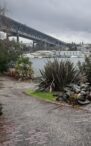 Waterfront Year Of Seattle Parks